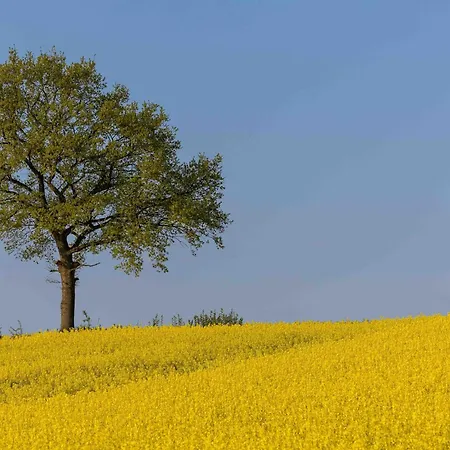 Min Hus - A D Schlei
