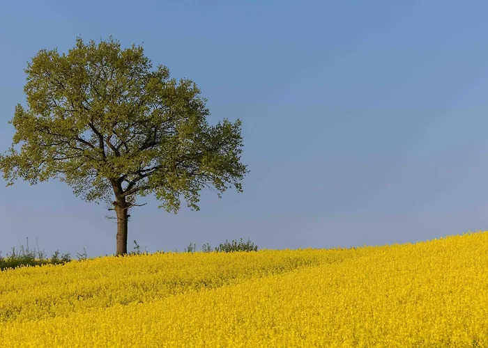Min Hus - A D Schlei